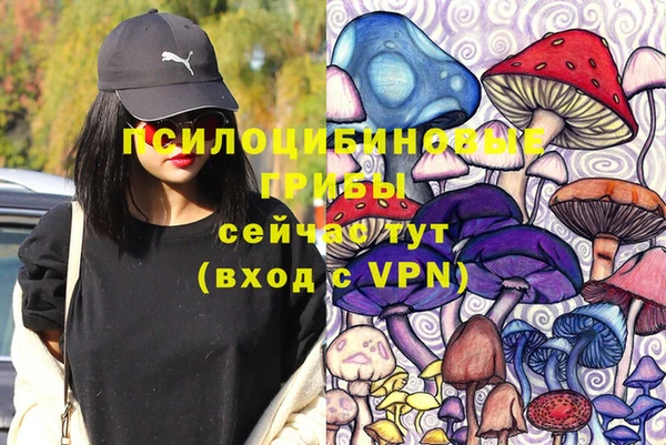 МДПВ Абдулино