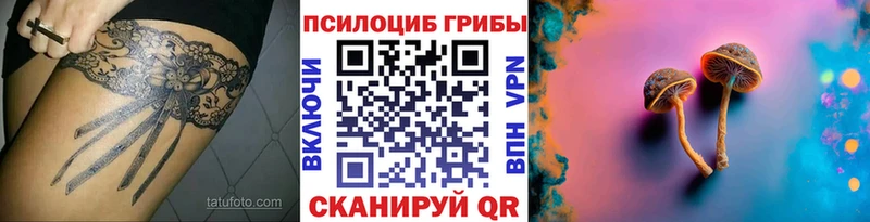 как найти наркотики Ак-Довурак Псилоцибиновые грибы Psilocybine cubensis